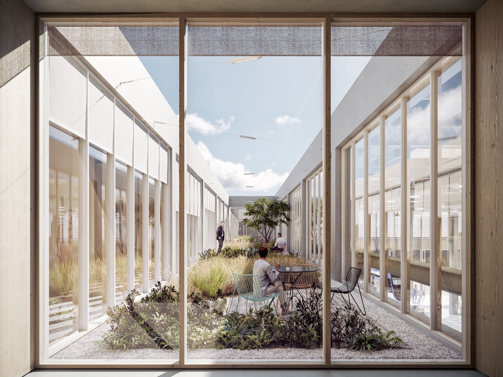 SMR_PATIO (CONCOURS)
